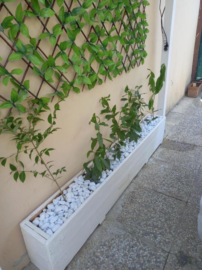 Double Room Fucecchio Exterior foto